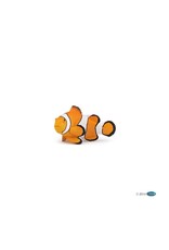 Papo PAPO: Clownfish