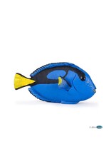 Papo PAPO: Surgeonfish
