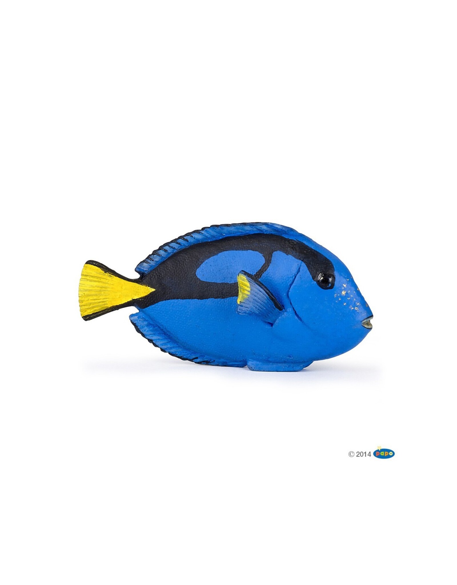 Papo PAPO: Surgeonfish