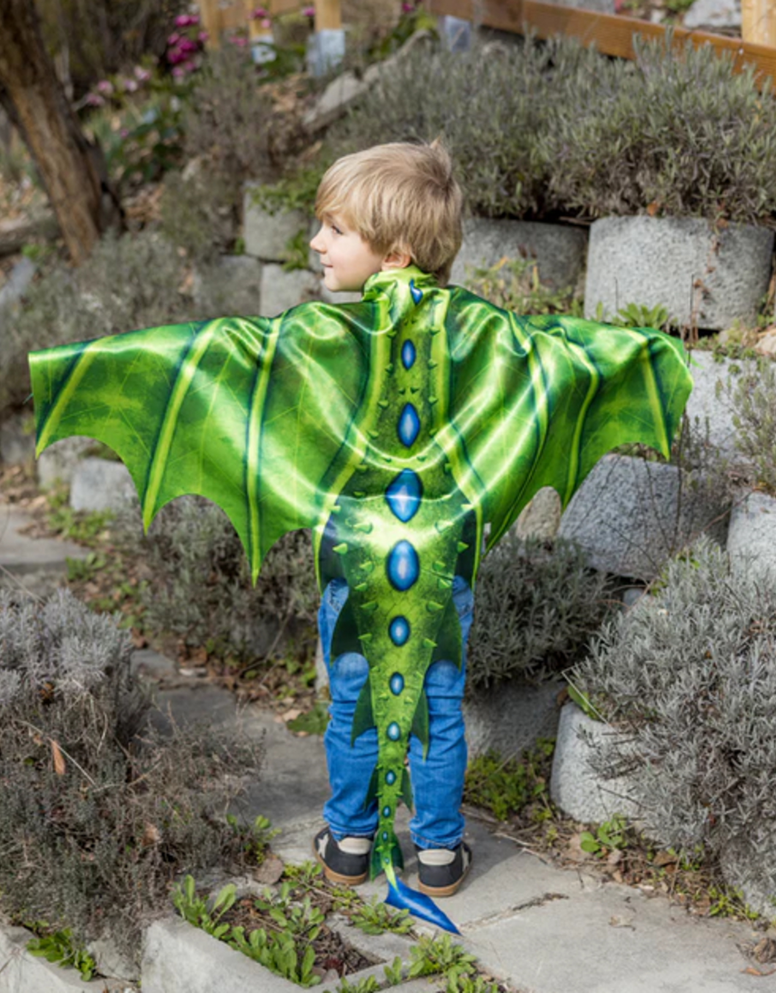 Creative Education Legendary Dragon Soft Wings, Size 4-6