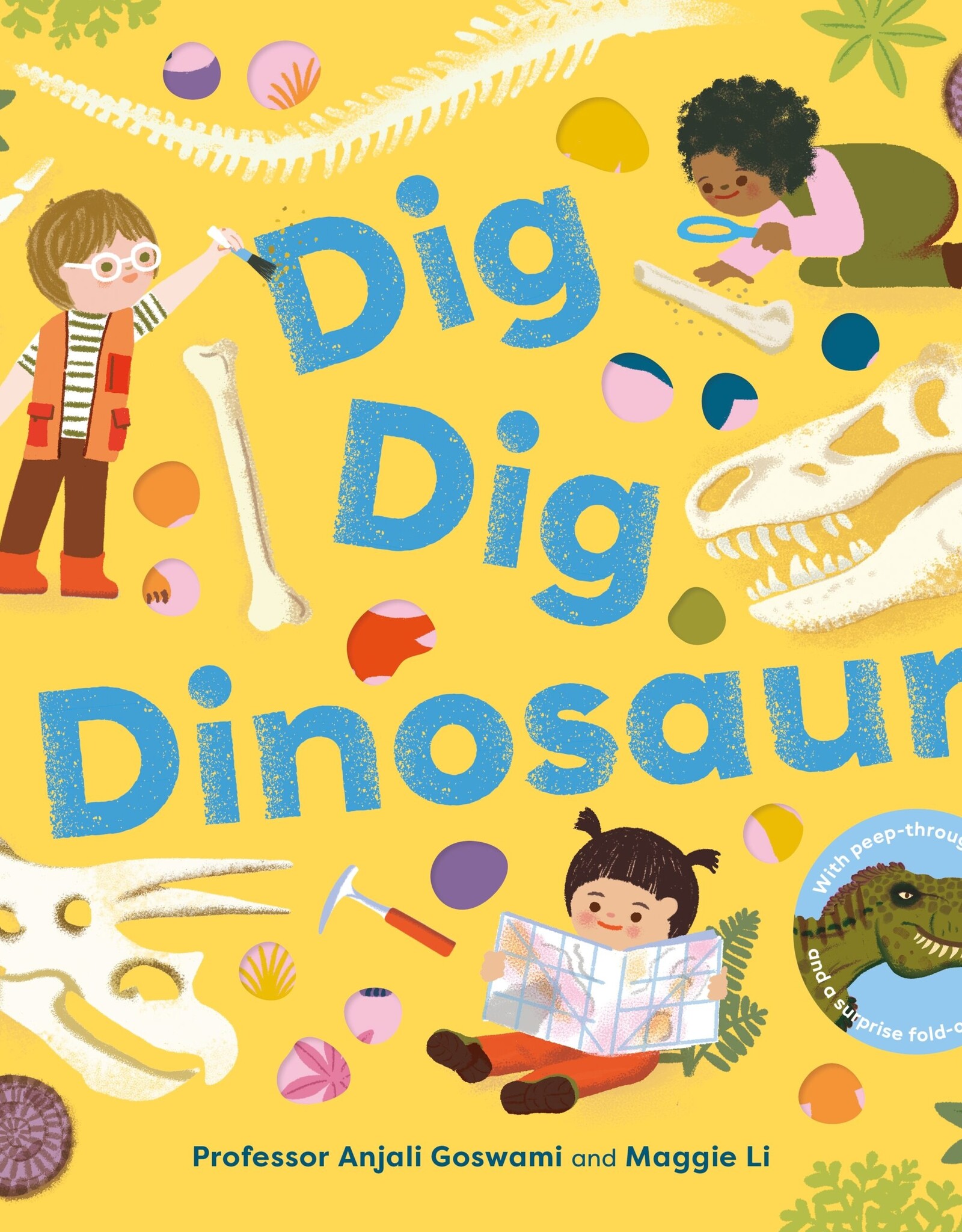 Hachette Dig, Dig, Dinosaur