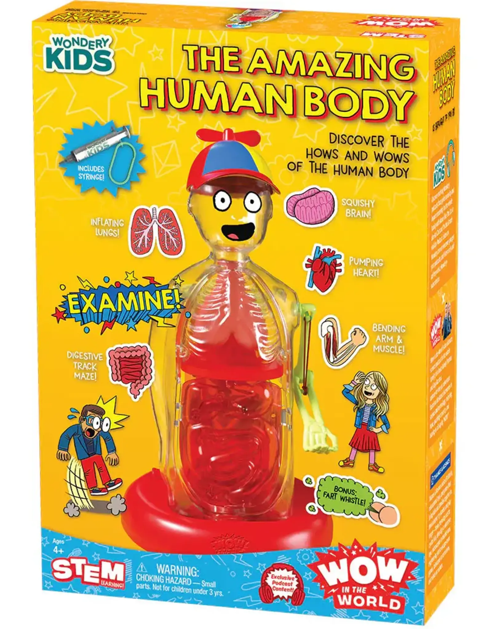 Thames & Kosmos Wow in the World: The Amazing  Human Body