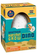 Toysmith Ginormous Grow Dino Egg