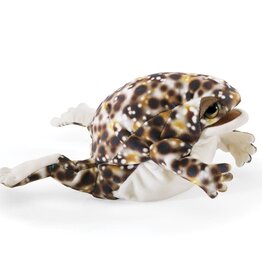 Folkmanis Puppet: Desert Rain Frog