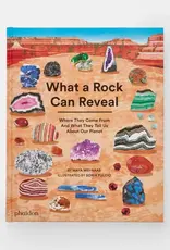 Phaidon What a Rock Can Reveal
