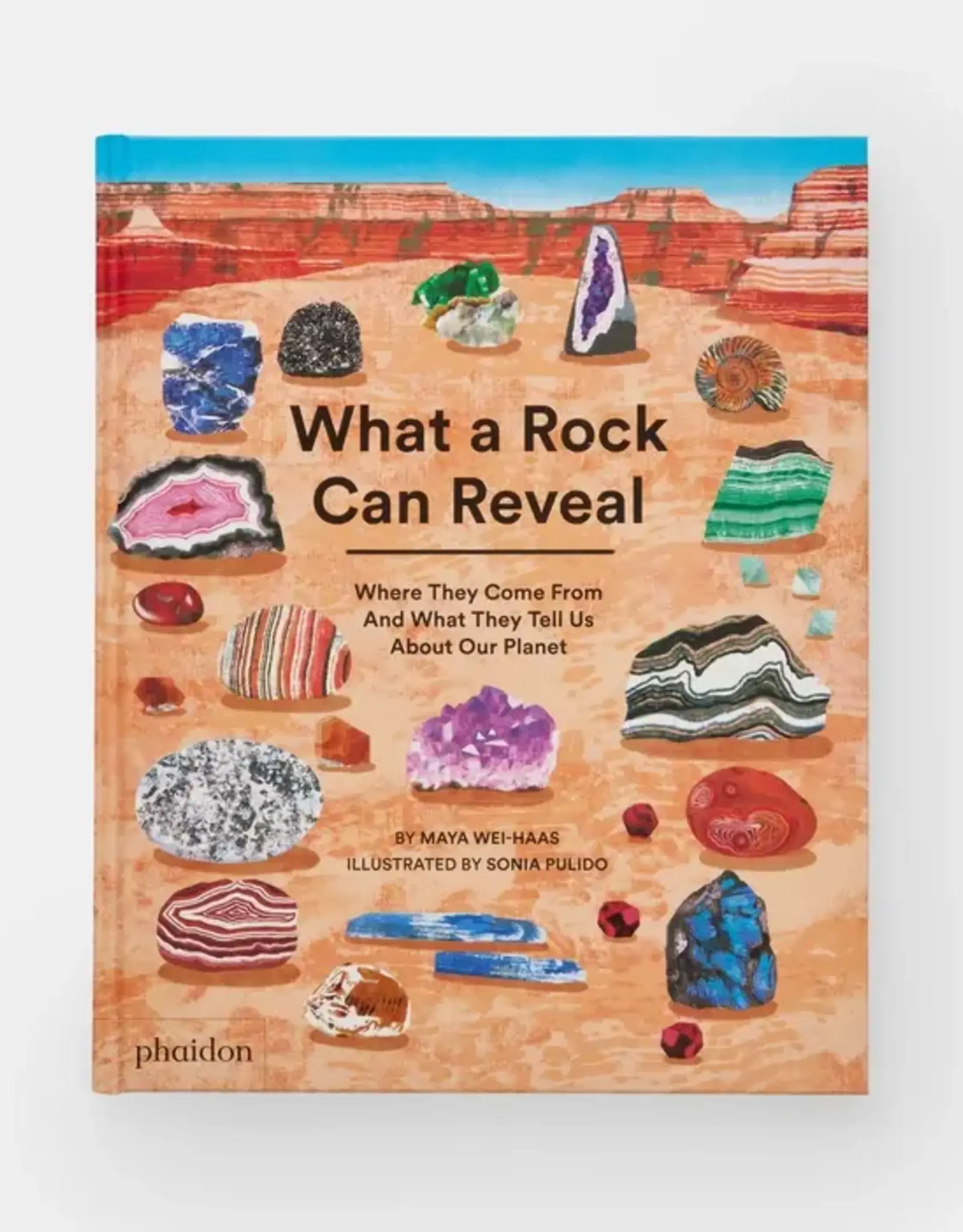 Phaidon What a Rock Can Reveal
