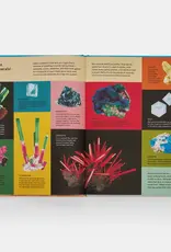 Phaidon What a Rock Can Reveal