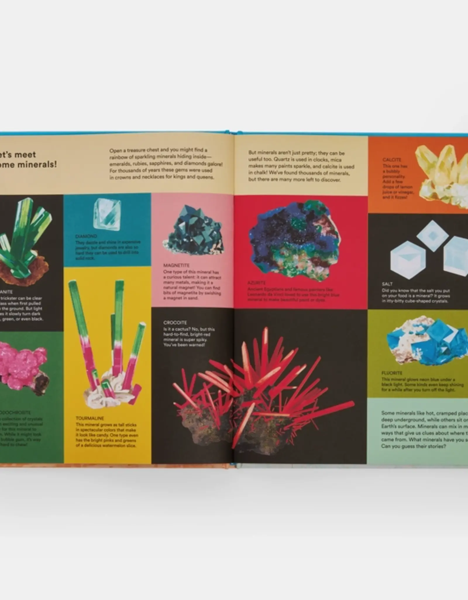 Phaidon What a Rock Can Reveal