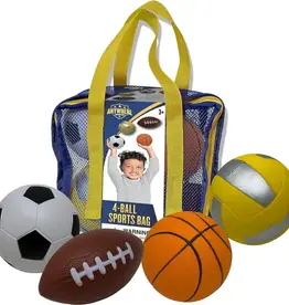 Thin Air Brands Four Ball Sports Bag