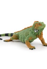 Papo PAPO: Iguana
