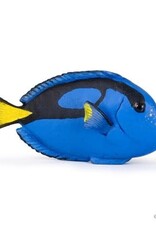 Papo PAPO: Surgeonfish