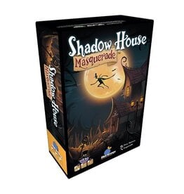 Blue Orange Shadow House Masquerade
