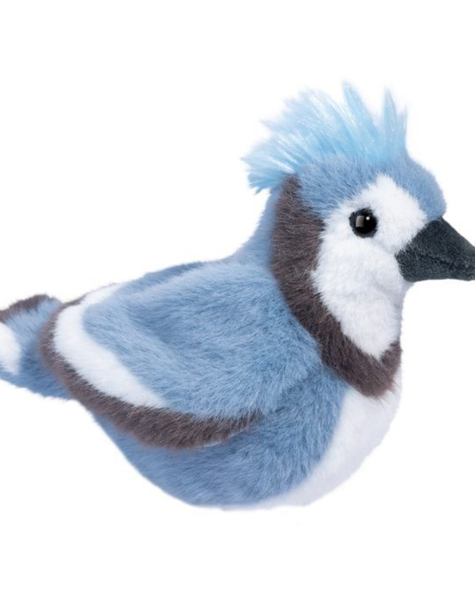 Douglas Denim Blue Jay