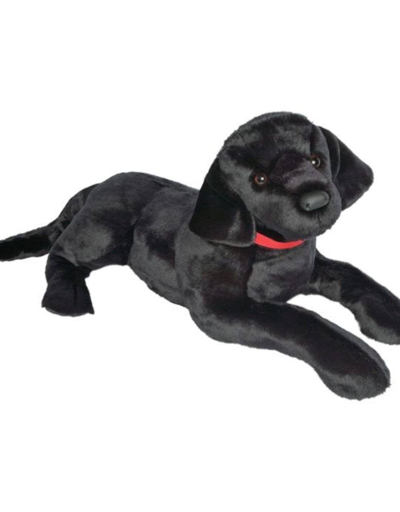 Douglas Dickens Black Lab