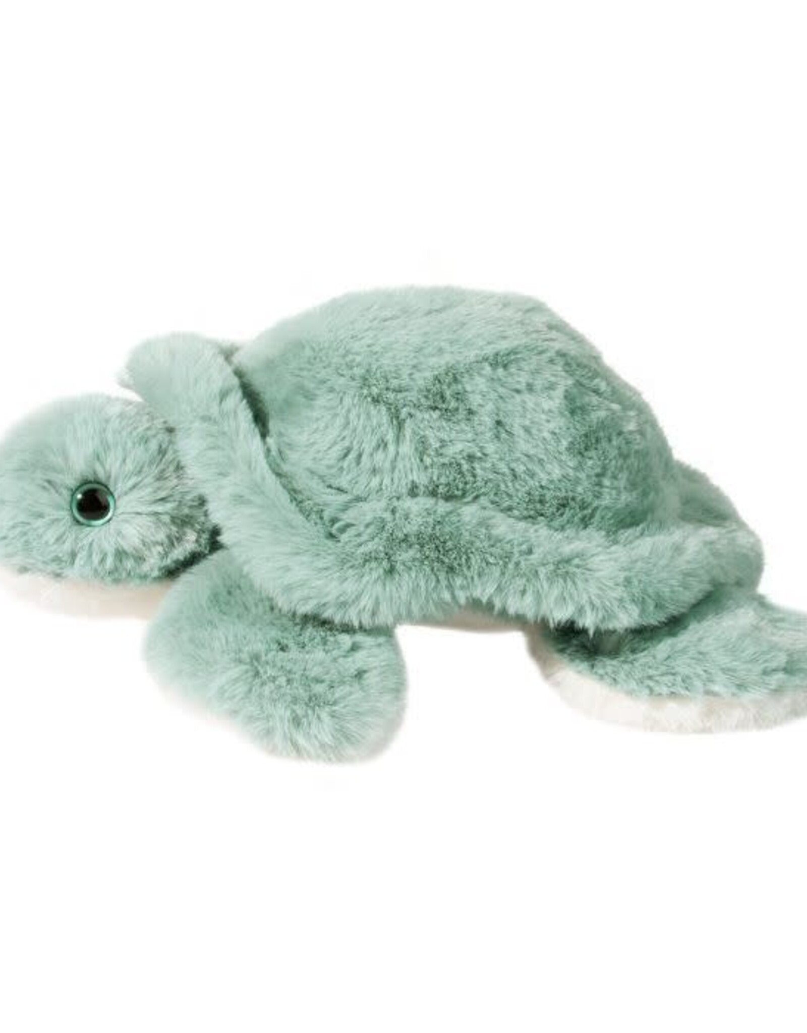 Douglas Jade Turtle