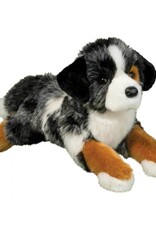 Douglas Australian Shepherd, Maizie Dlux 18.5"