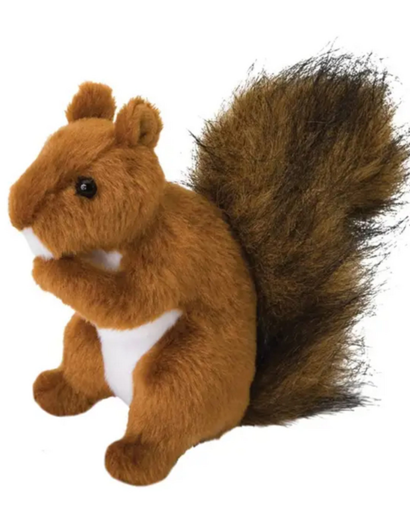Douglas Red Squirrel, Roadie