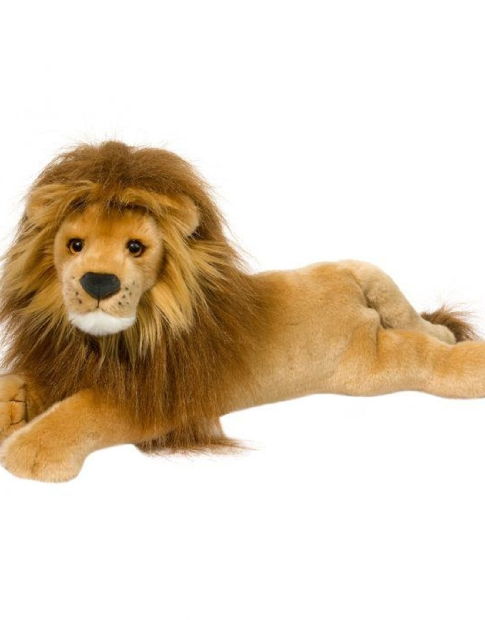 Douglas Zeus Lion 20"