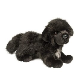 Douglas Bundy Newfoundland, 16"