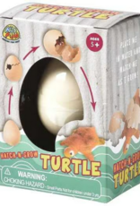 US Toy Hatch 'N Grow Turtle