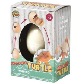 US Toy Hatch 'N Grow Turtle