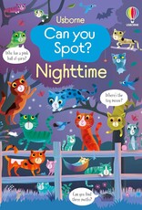 Usborne Can You Spot: Night Time