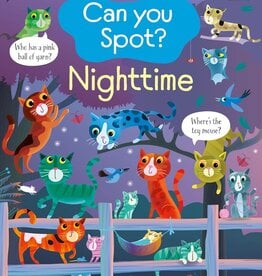 Usborne Can You Spot: Night Time