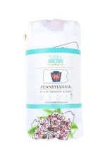 Little Hometown Pennsylvania Baby Swaddle Blanket