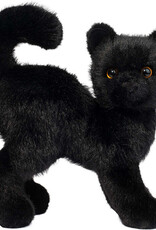 Douglas Scardey Black Cat