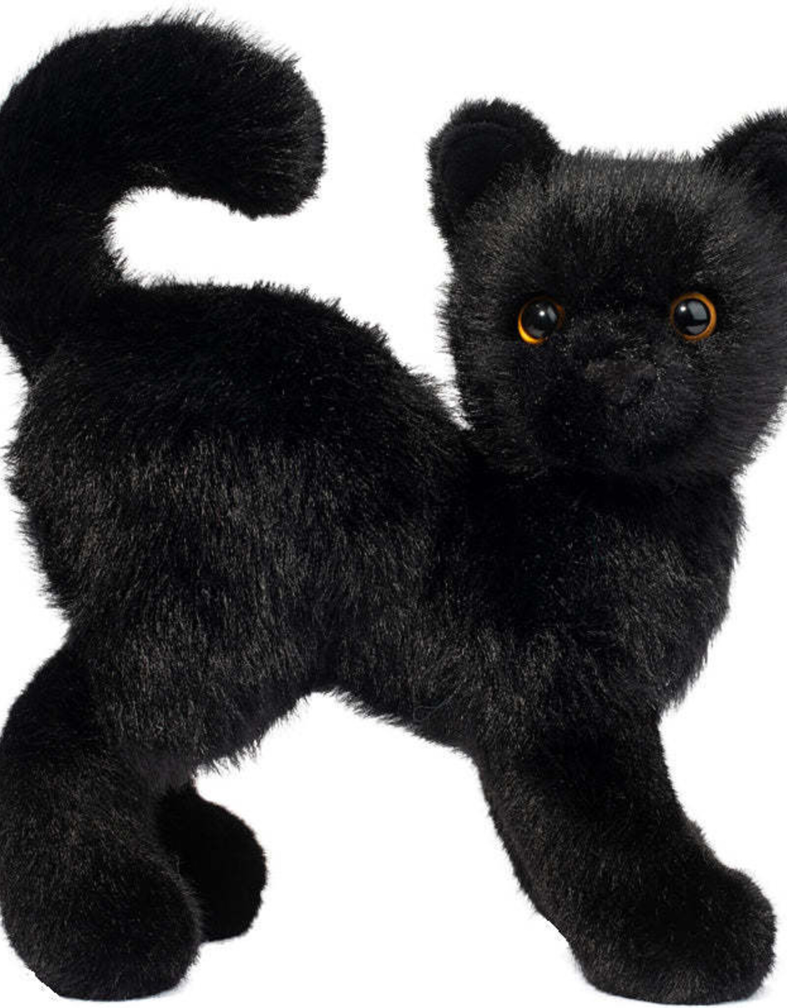 Douglas Scardey Black Cat