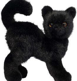 Douglas Scardey Black Cat