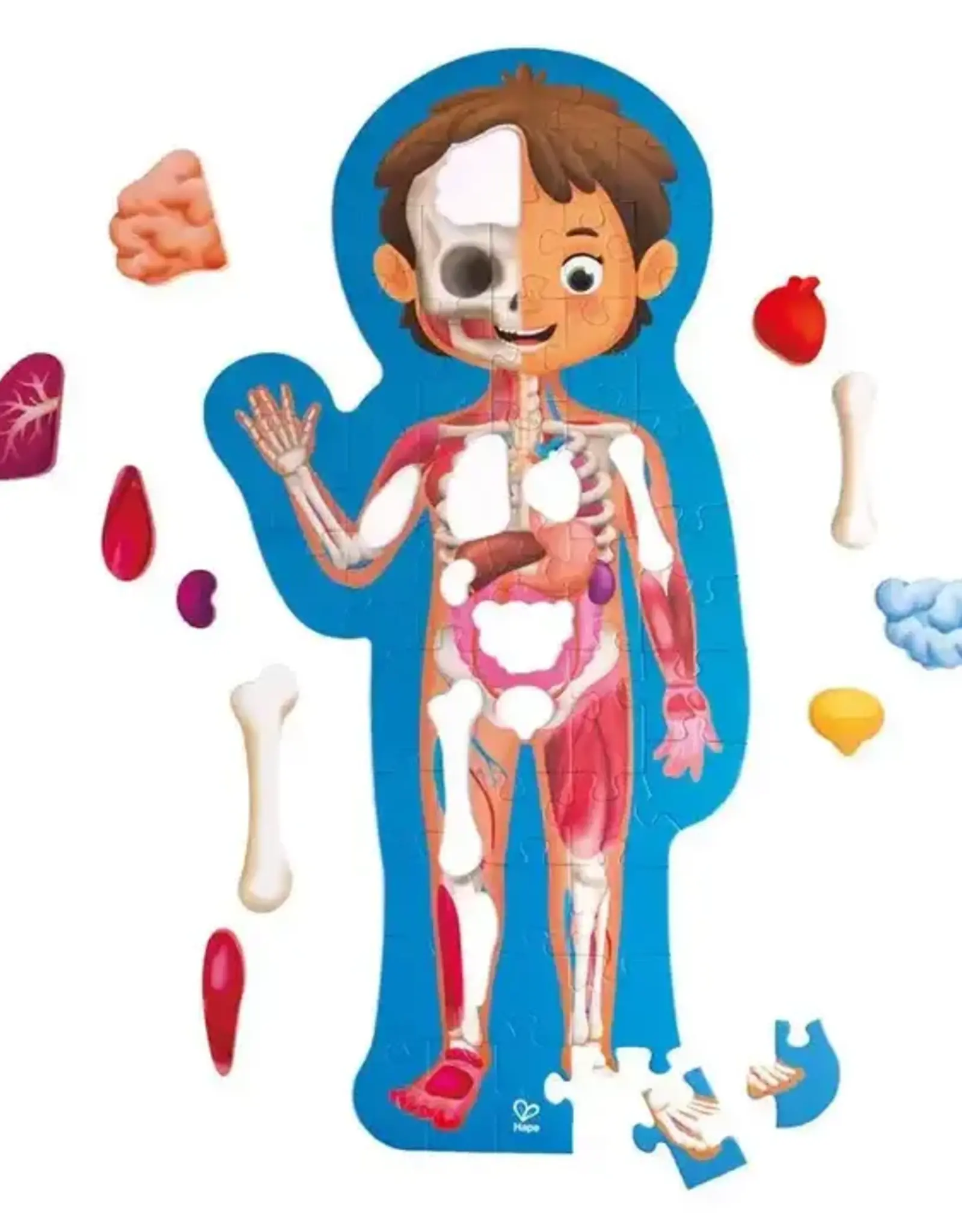 Hape Human Body Puzzle