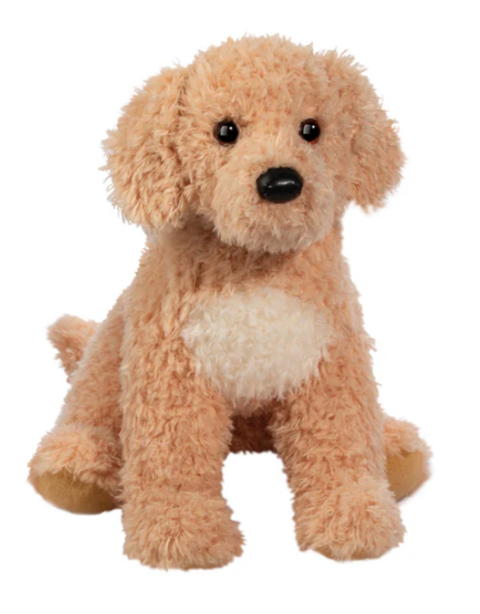 Douglas Noodle Golden Doodle