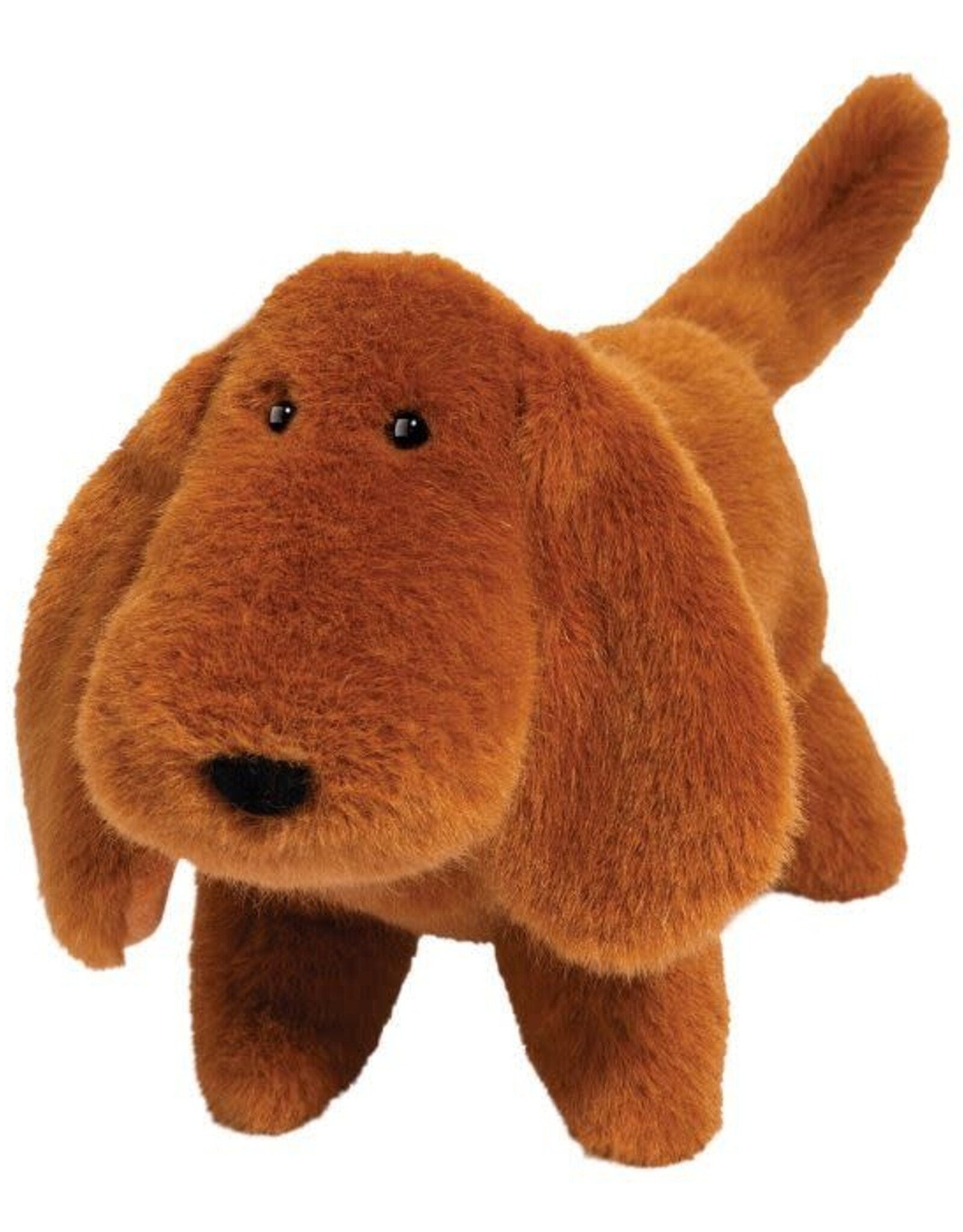 Douglas Dale Dachshund Muzzle