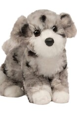 Douglas Miles Aussie Doodle