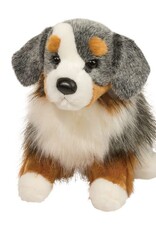 Douglas Sinclair Austrailian Shepherd