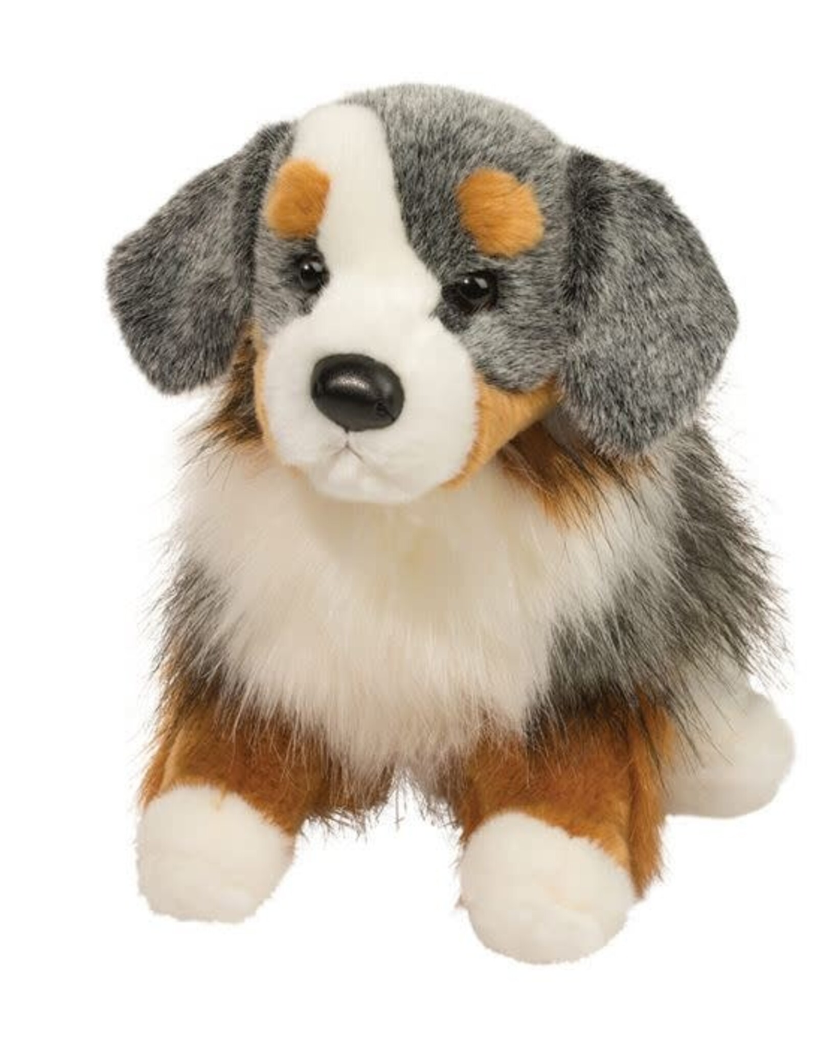 Douglas Sinclair Austrailian Shepherd