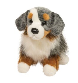 Douglas Sinclair Austrailian Shepherd