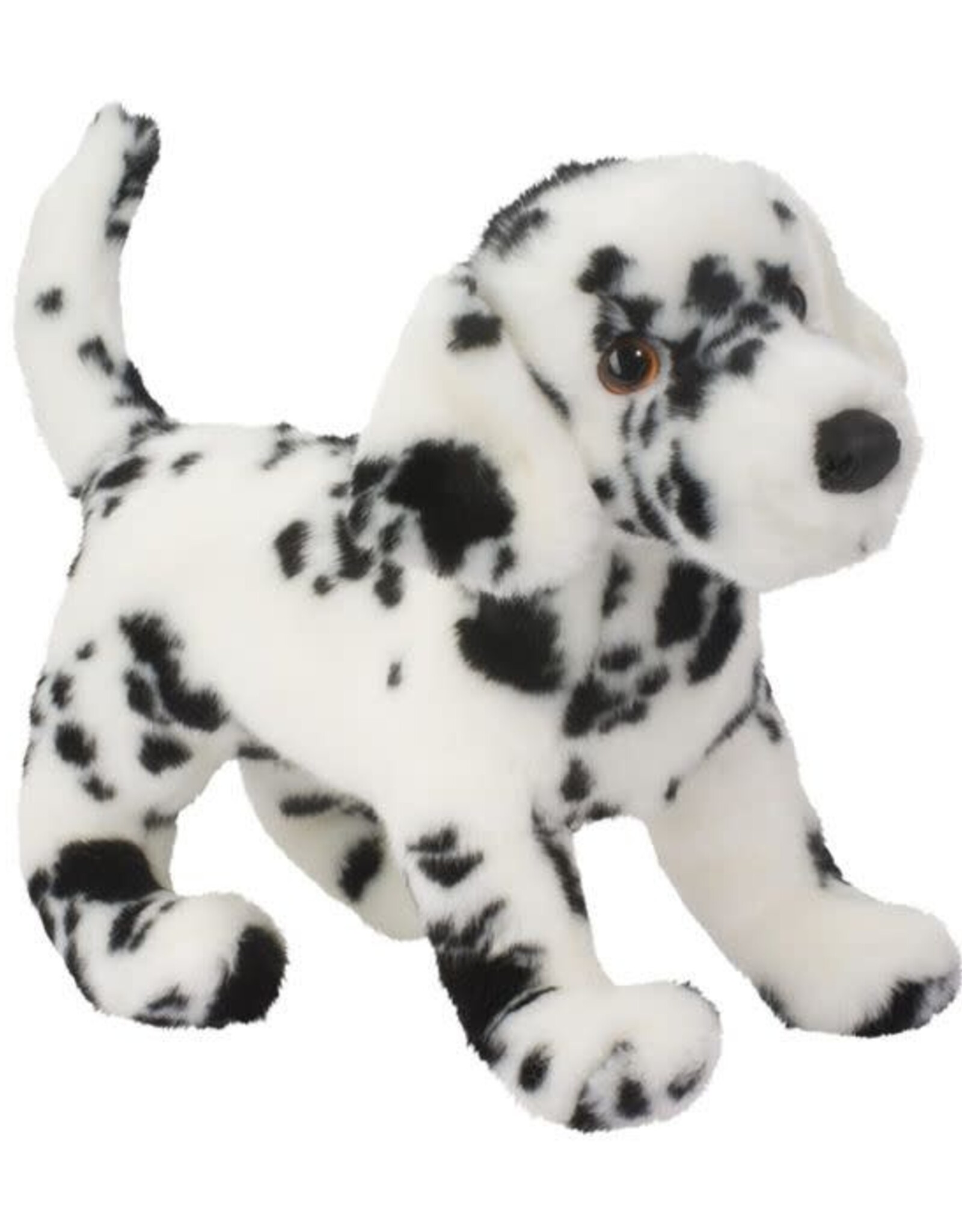 Douglas Winston Dalmatian