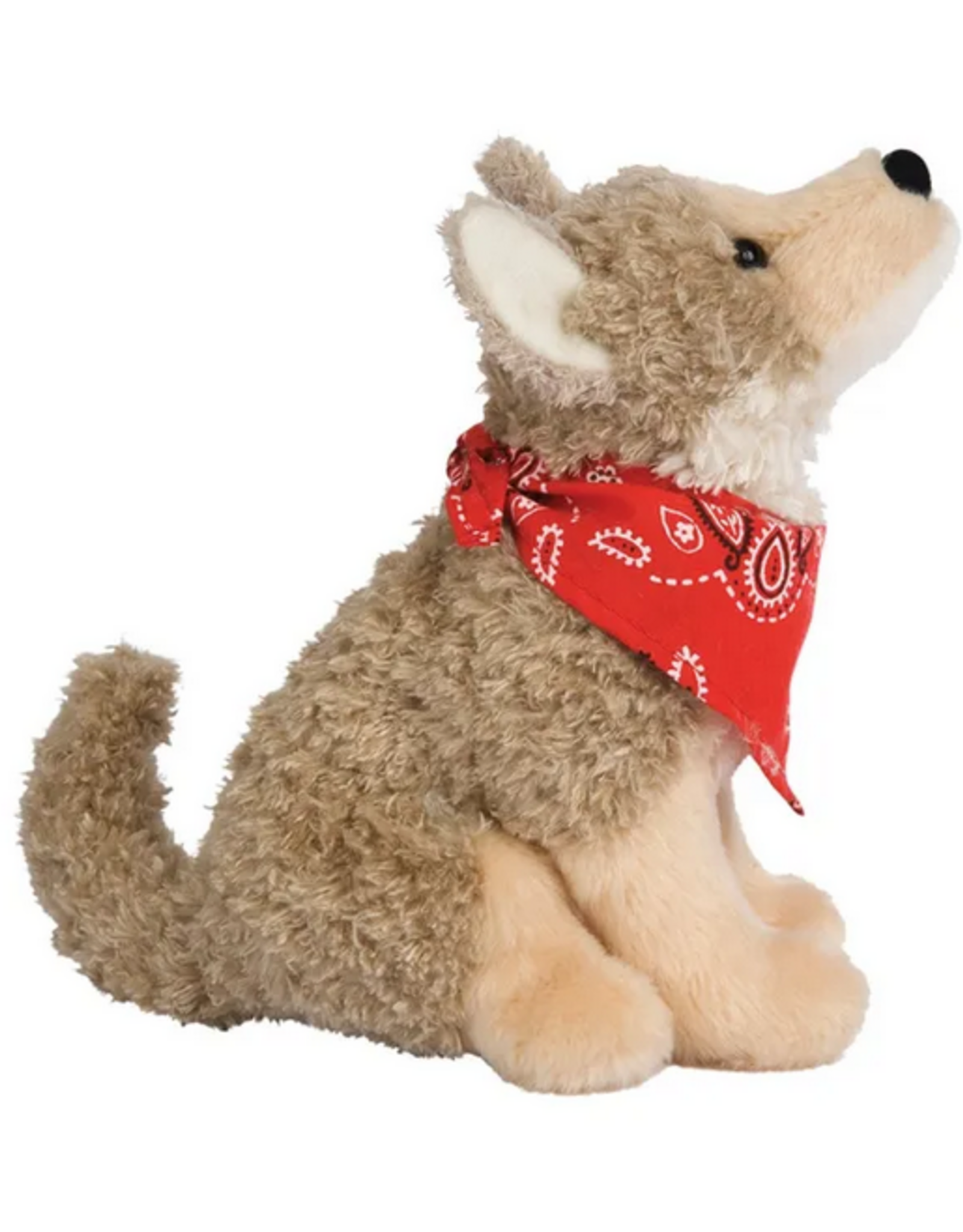 Douglas Trickster Coyote