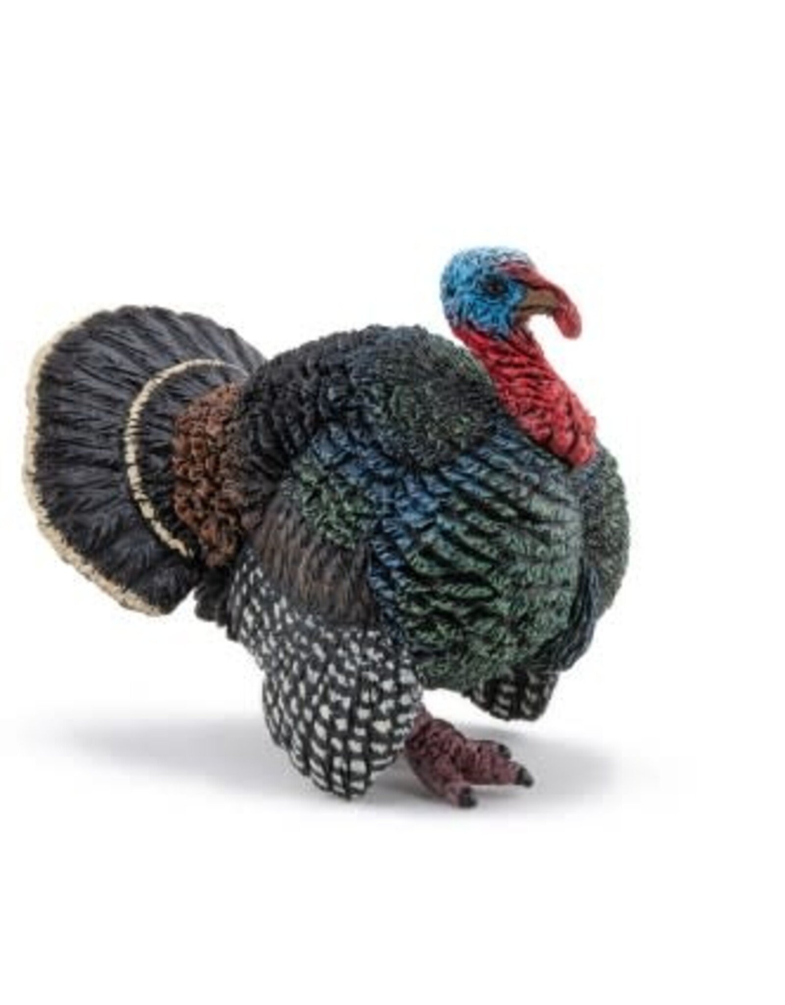 Papo PAPO: Turkey