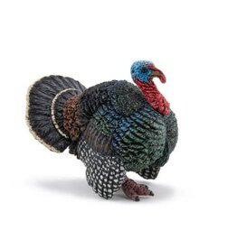 Papo PAPO: Turkey