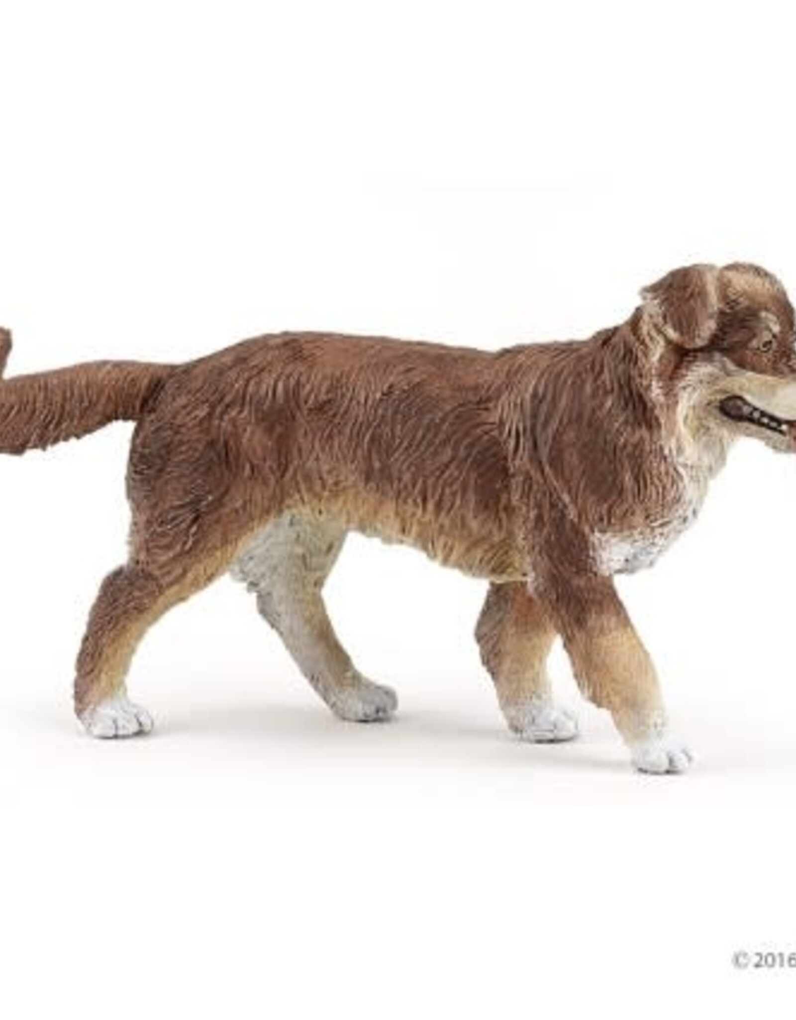 Papo PAPO: Australian Shepherd