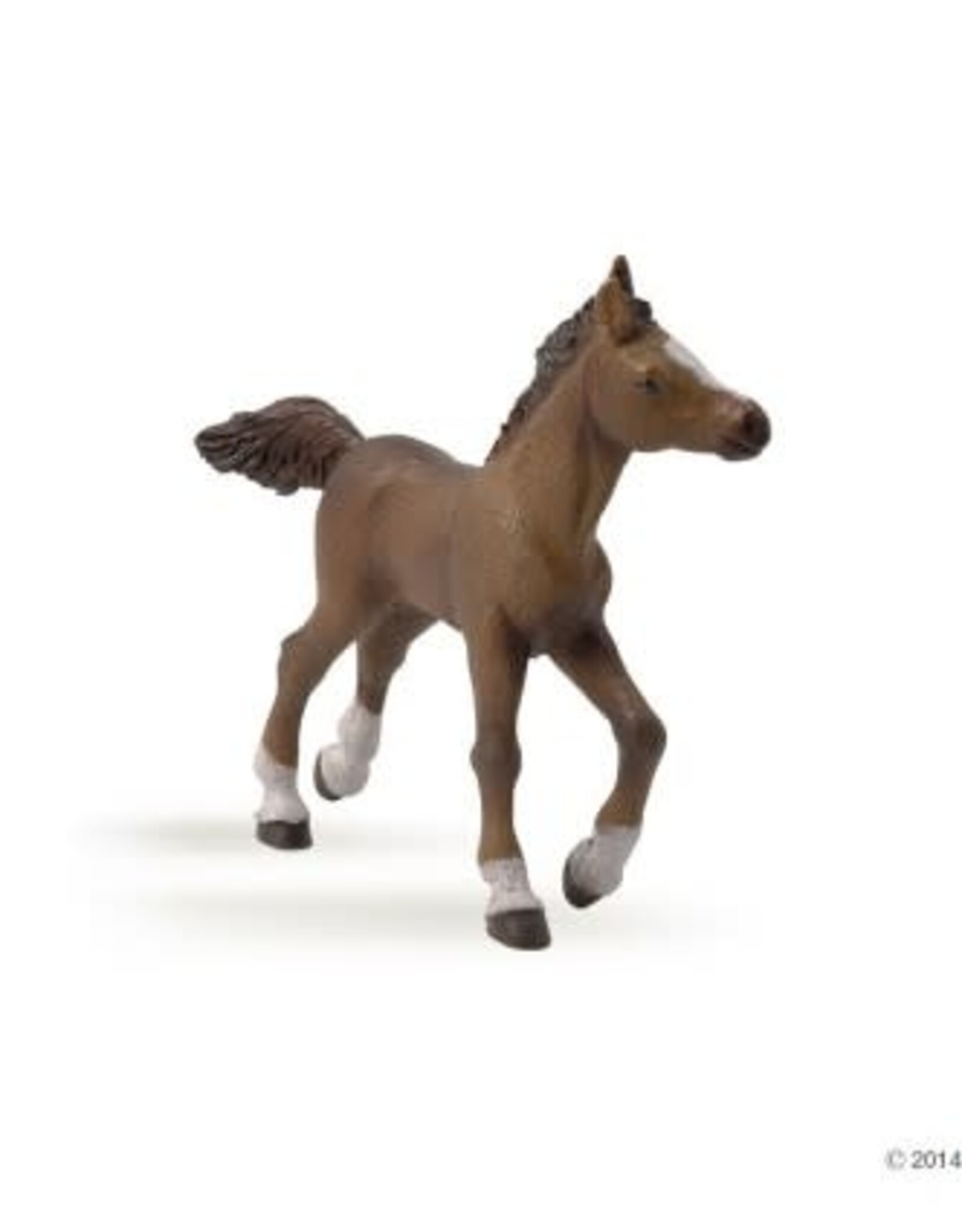 Papo PAPO: Anglo-arab Foal