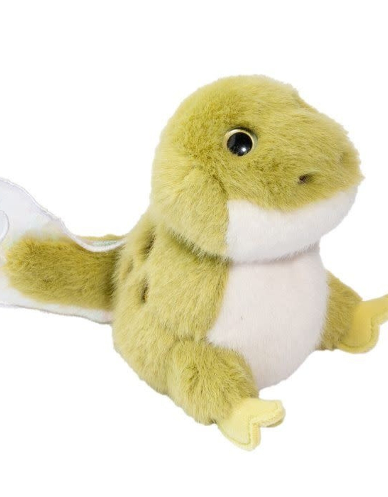 Douglas Taddie Tadpole