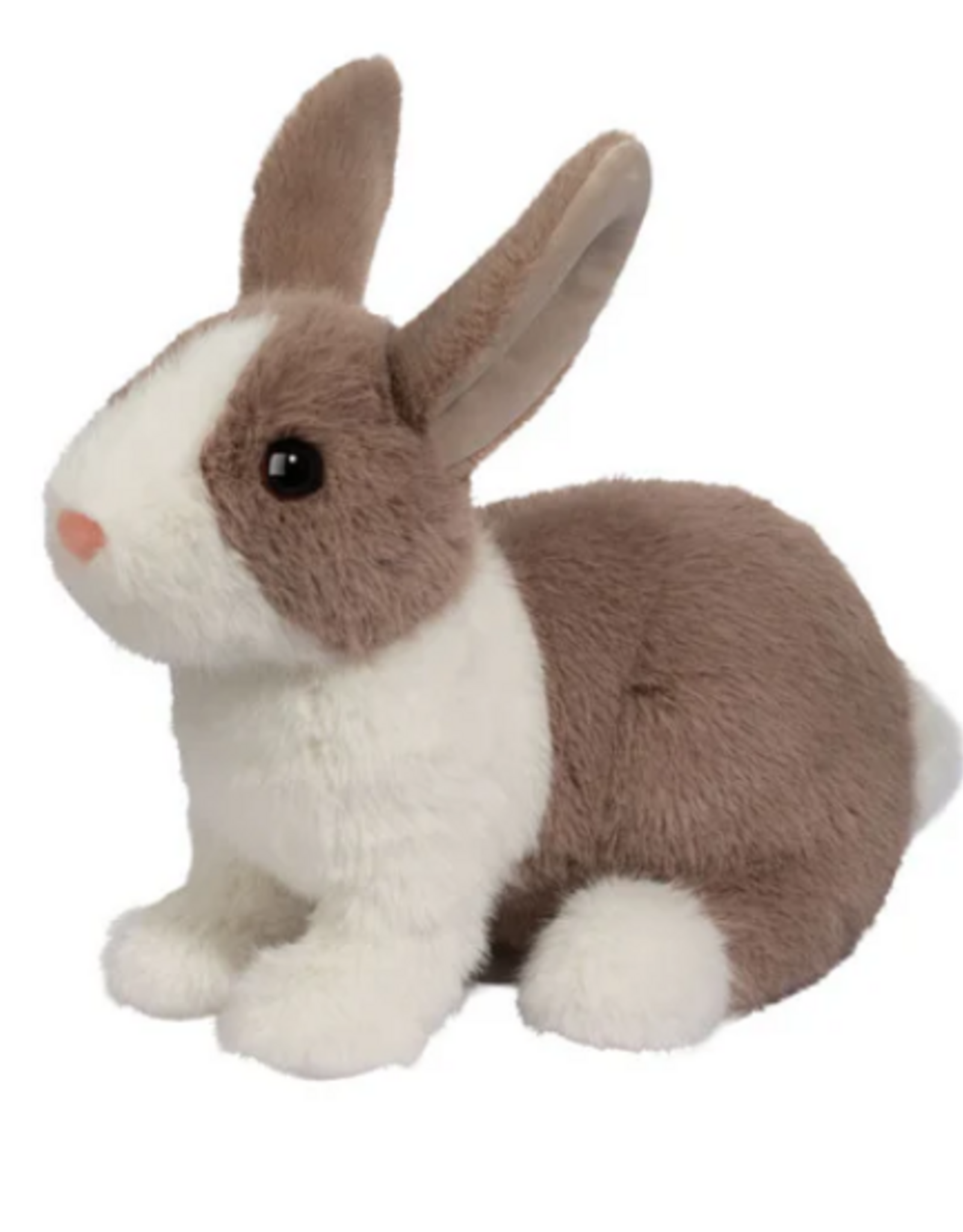 Douglas Daffodil Dutch Bunny