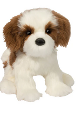 Douglas Farren Shih Tzu