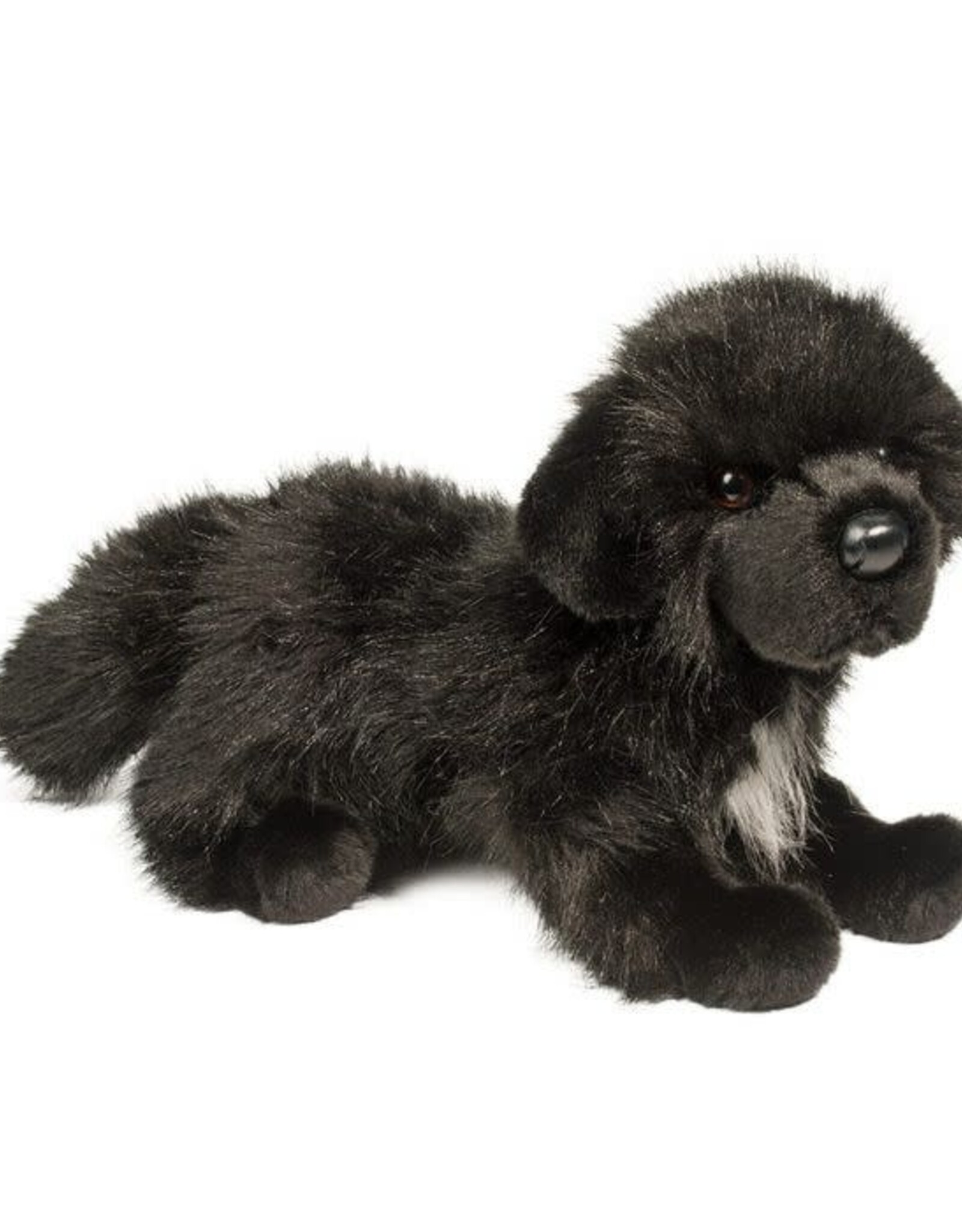 Douglas Bundy Newfoundland, 16"