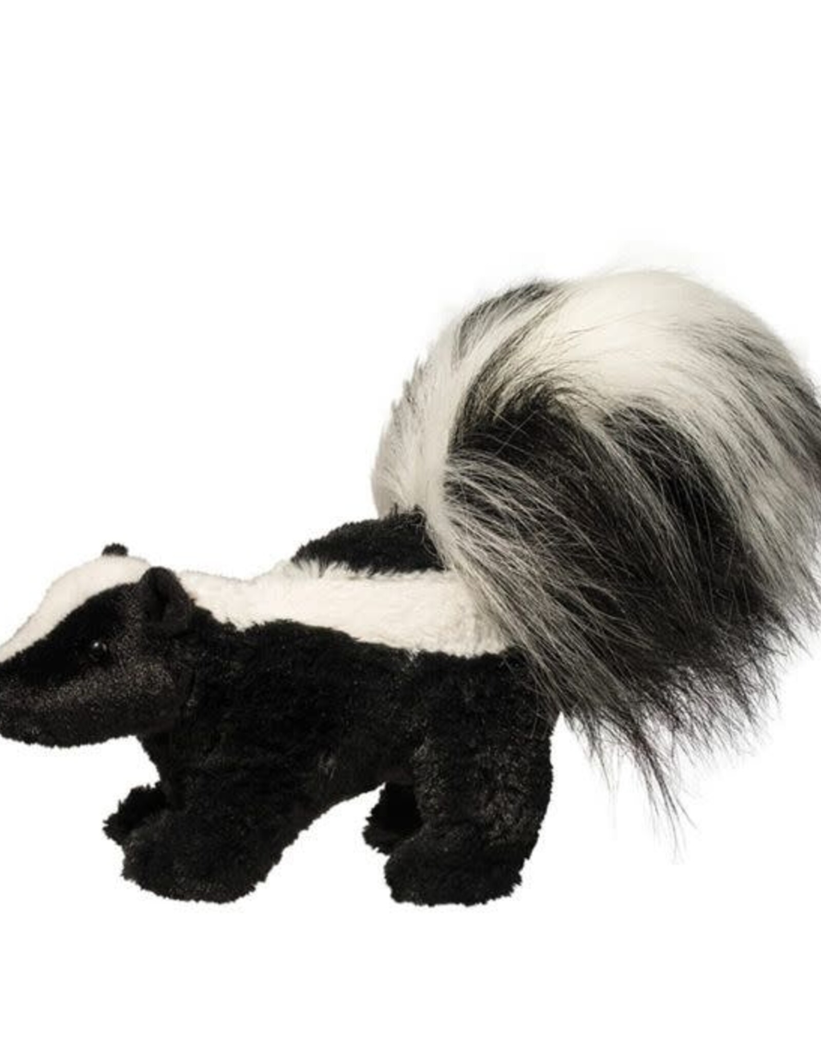 Douglas Striper Skunk