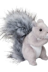 Douglas Shasta Gray Squirrel